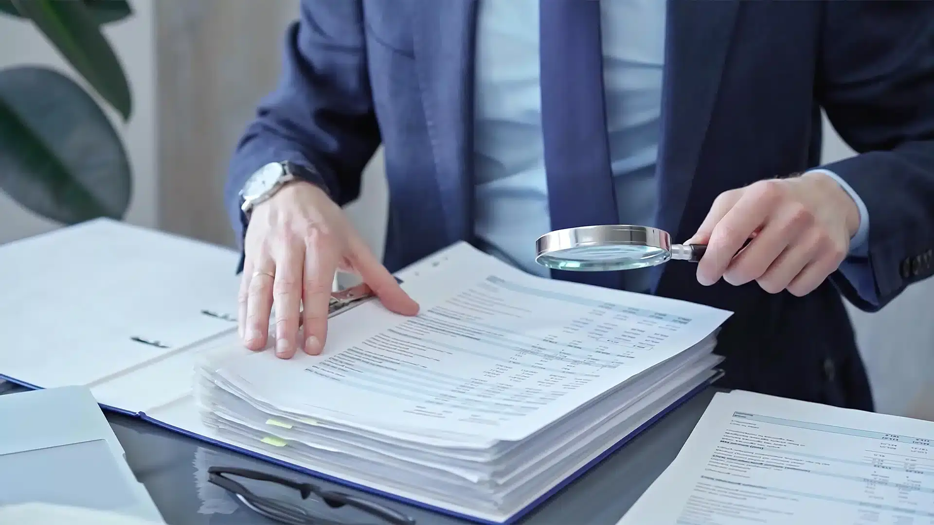 PCAOB audit services