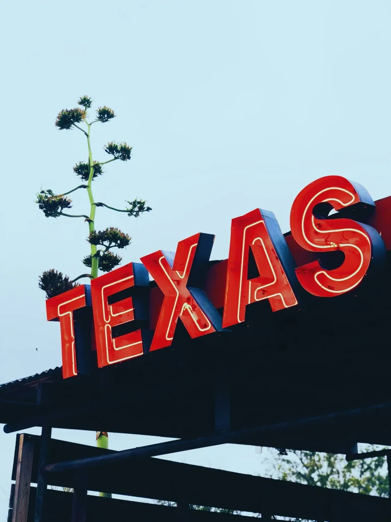 Texas neon sign in Houston